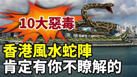 蛇陣 香港 打風水位上升